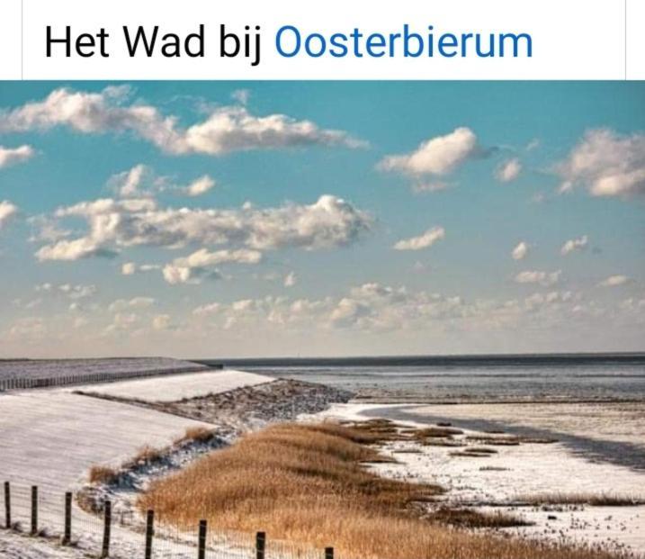 4-Persoons Vakantiehuisje Simmerwille Tzummarum Eksteriør billede